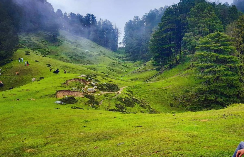 Suryam Resorts Chakrata